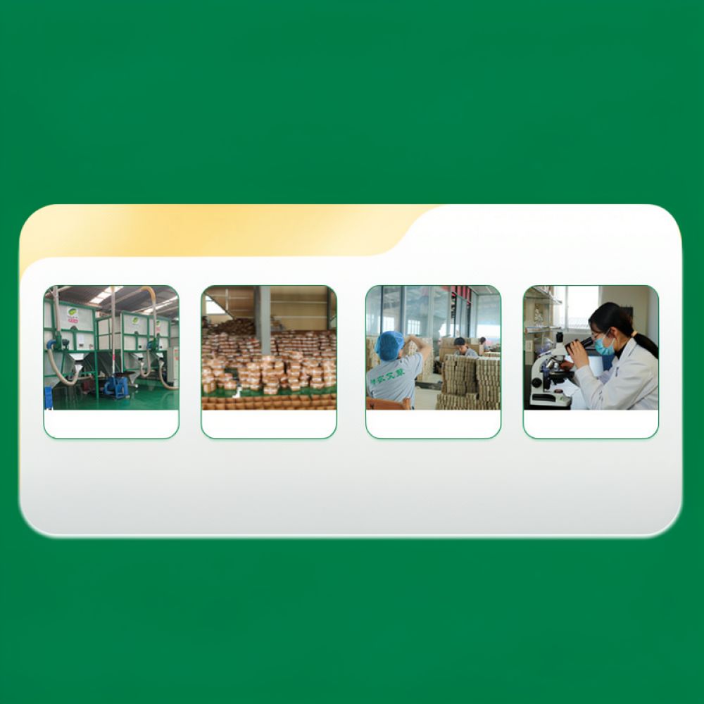 Stik Moxa Karbonisasi Tanpa As - Therapy Health And Wellness ulasan dan harga